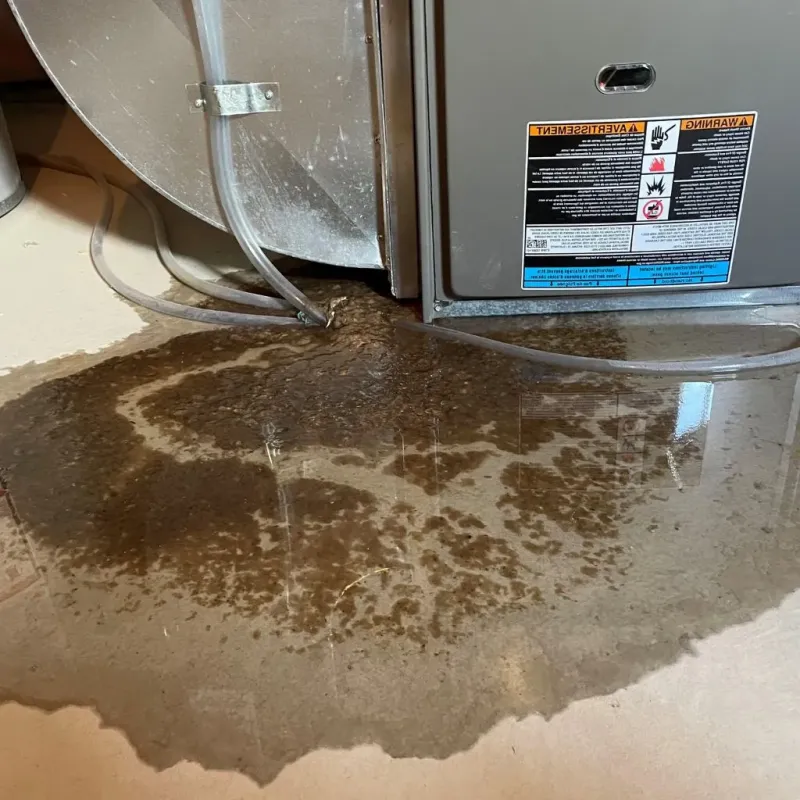 Pipe Burst and Leak Restoration in Chelsea, VT