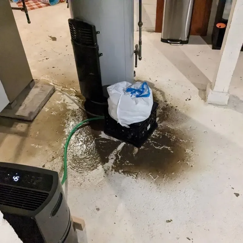 Sewage Backup Cleanup Service in Chelsea, VT